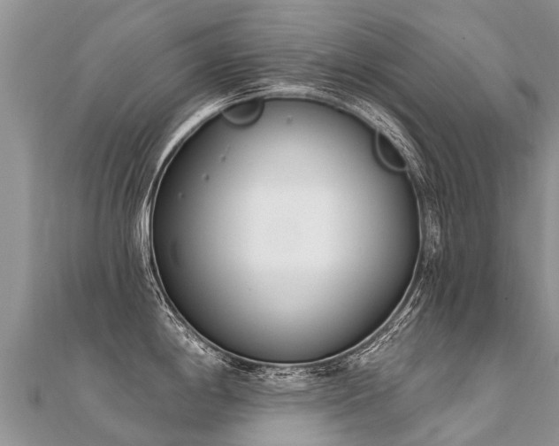 X0000112081198200908111448