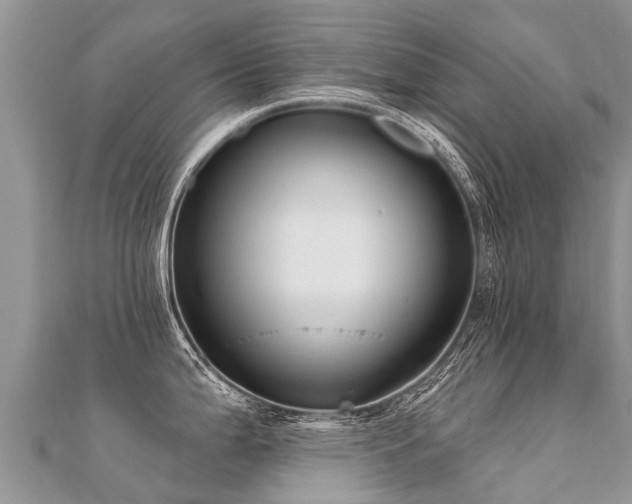 X0000112081199200908111448