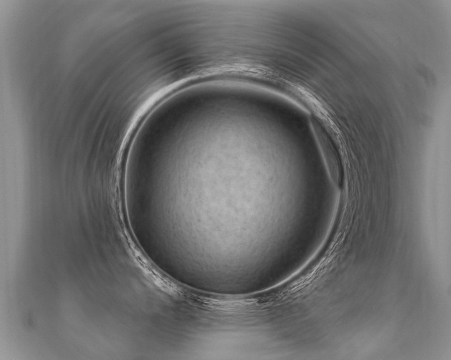 X0000112081200200908111448