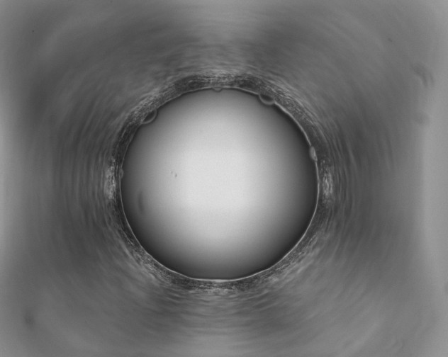 X0000112081204200908111447