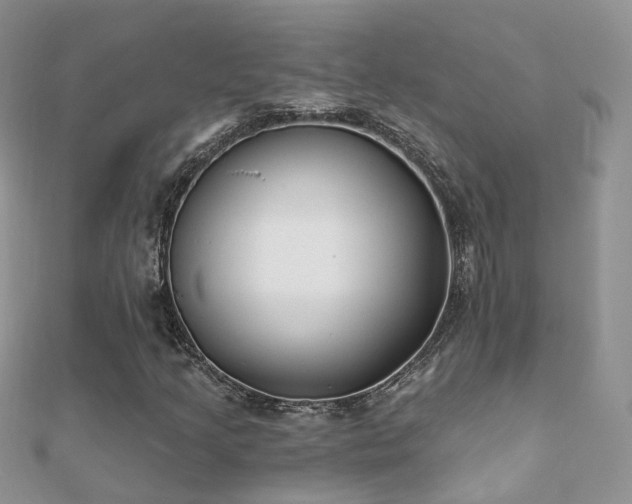 X0000112081205200908111447