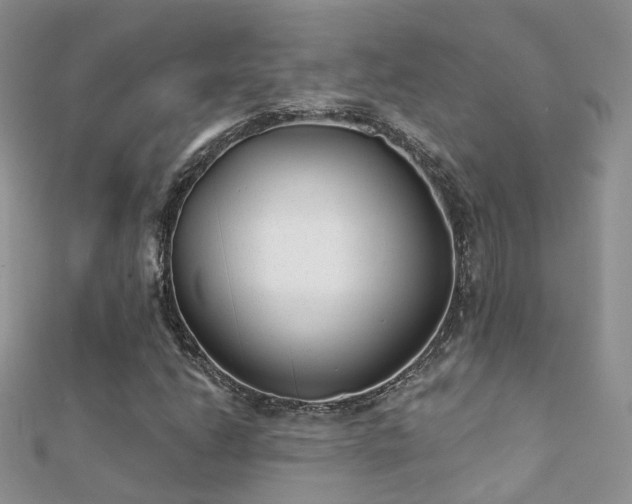 X0000112081206200908111447