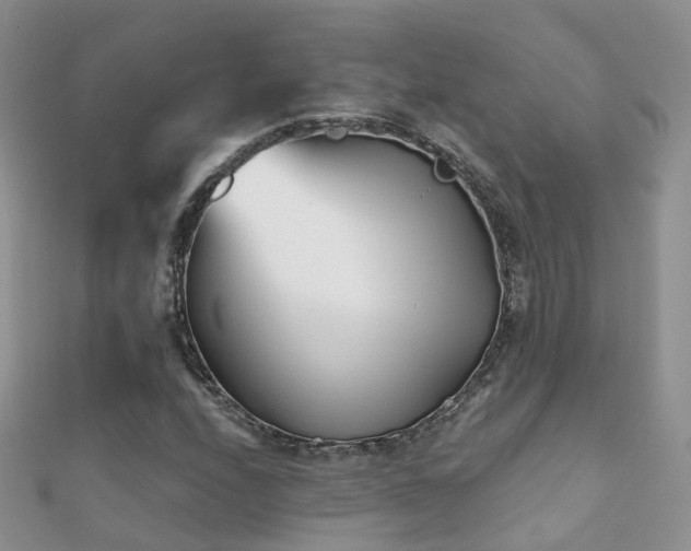 X0000112081208200908111447
