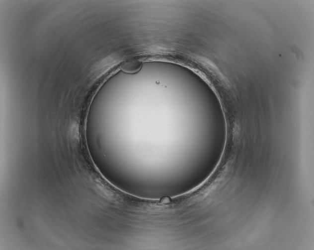 X0000112081209200908111447
