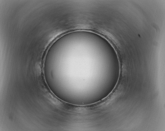 X0000112081212200908111447