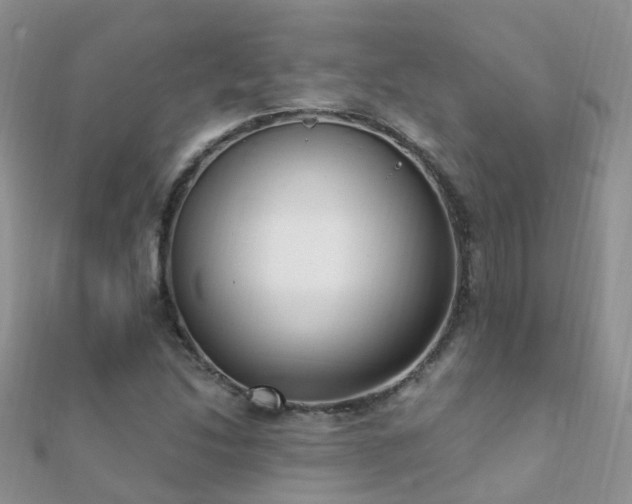 X0000112081214200908111447