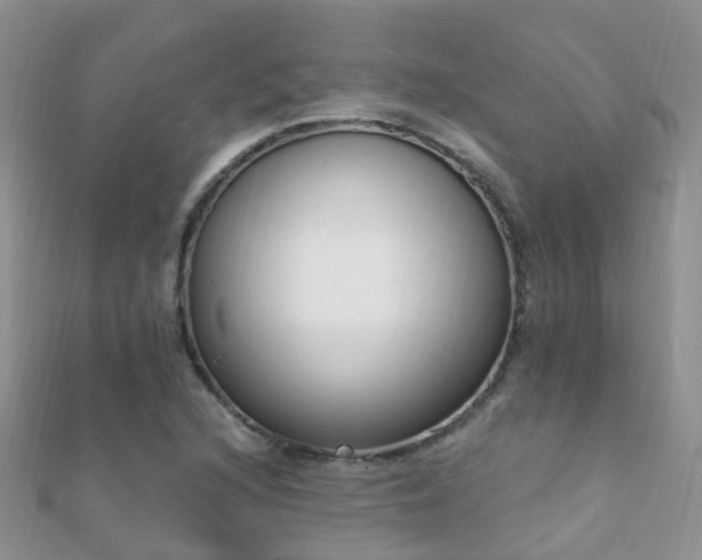 X0000112081216200908111447