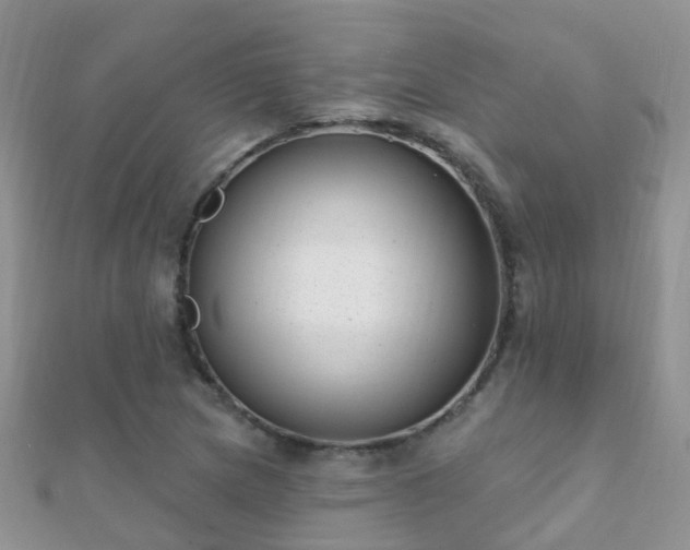X0000112081217200908111448