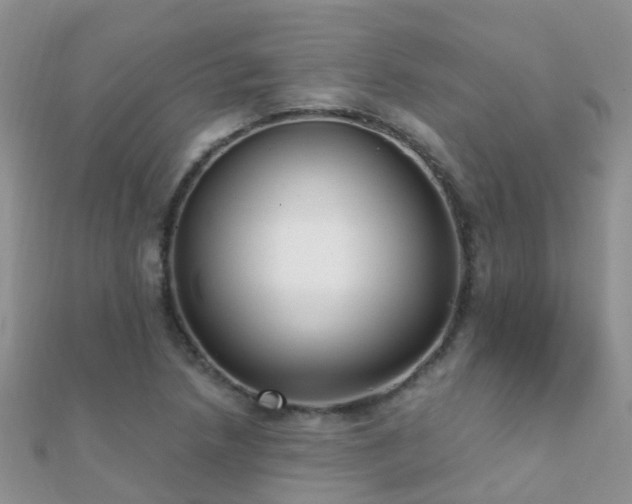 X0000112081218200908111448
