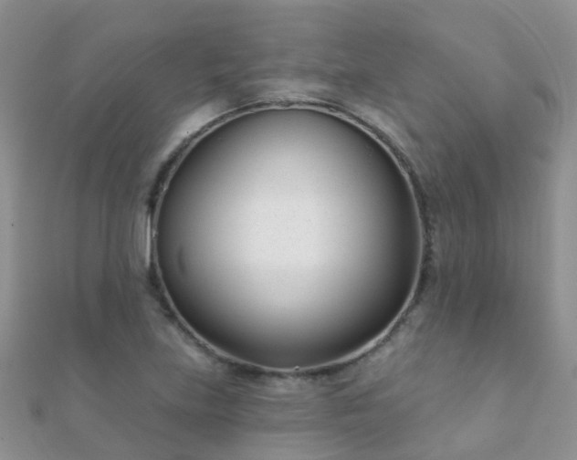 X0000112081219200908111448