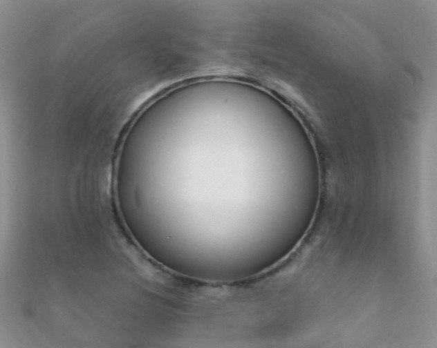 X0000112081220200908111448