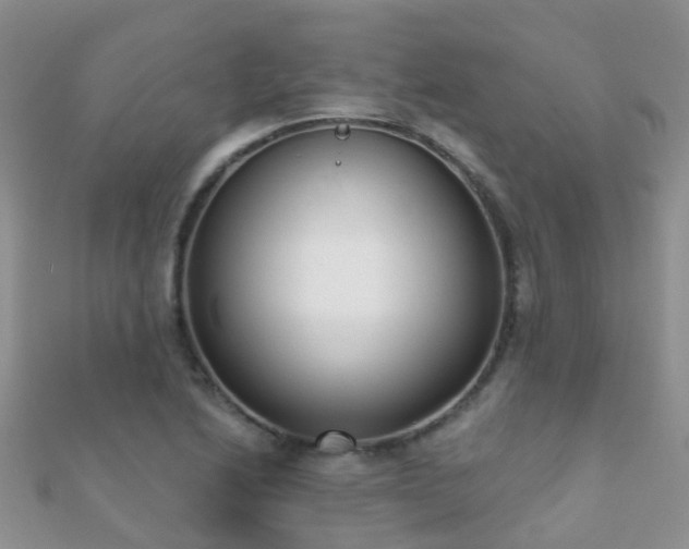X0000112081222200908111448