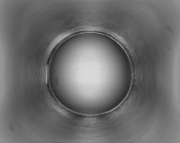 X0000112081223200908111448