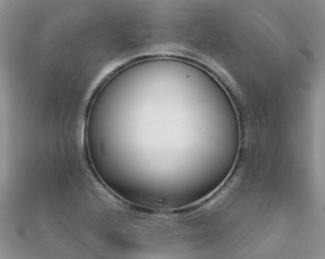 X0000112081224200908111448