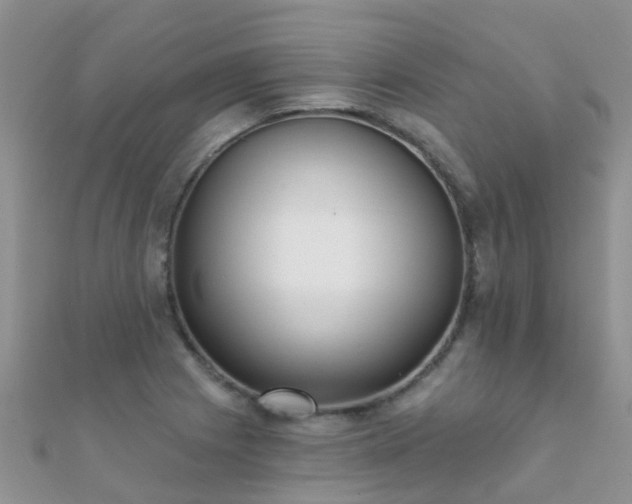 X0000112081225200908111448