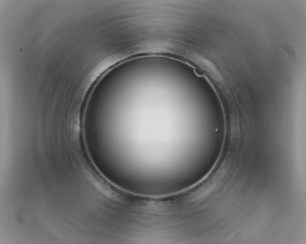 X0000112081226200908111448