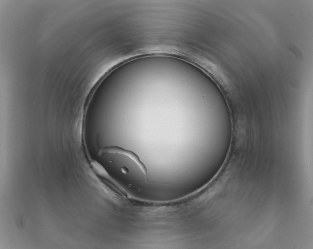 X0000112081228200908111448