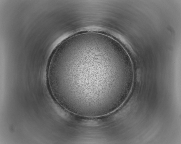 X0000112081229200908111448