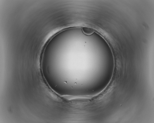 X0000112081230200908111448