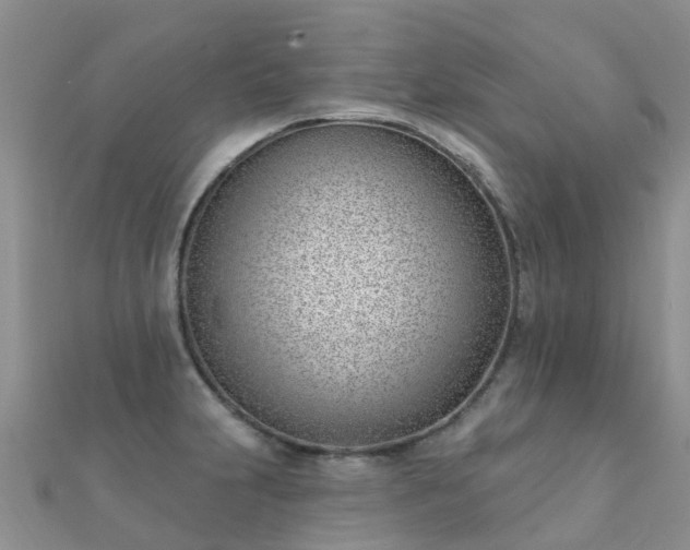 X0000112081231200908111448
