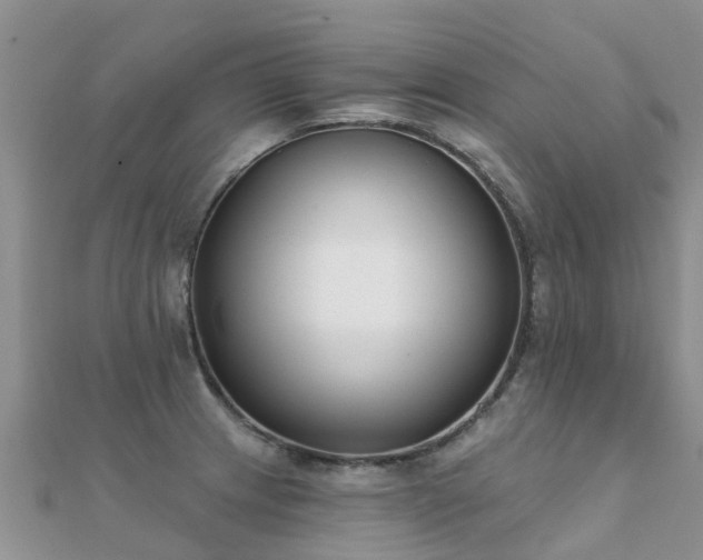 X0000112081233200908111448