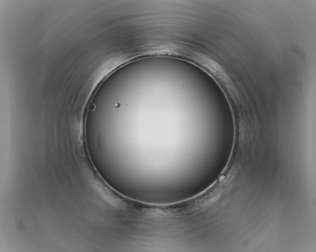 X0000112081234200908111448