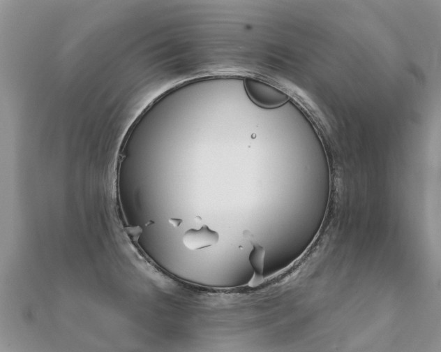 X0000112081236200908111448