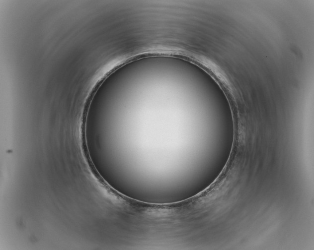 X0000112081237200908111448