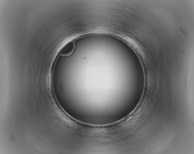X0000112081238200908111448