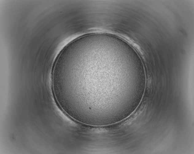 X0000112081239200908111448
