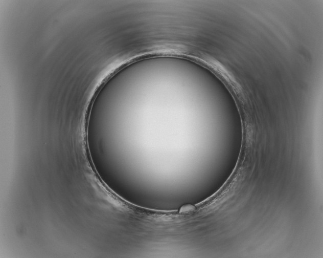 X0000112081240200908111448