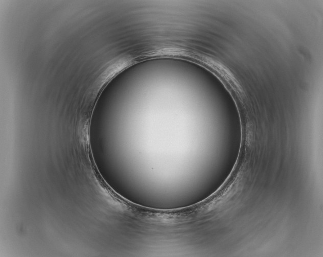 X0000112081241200908111448