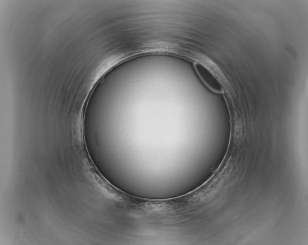 X0000112081242200908111448