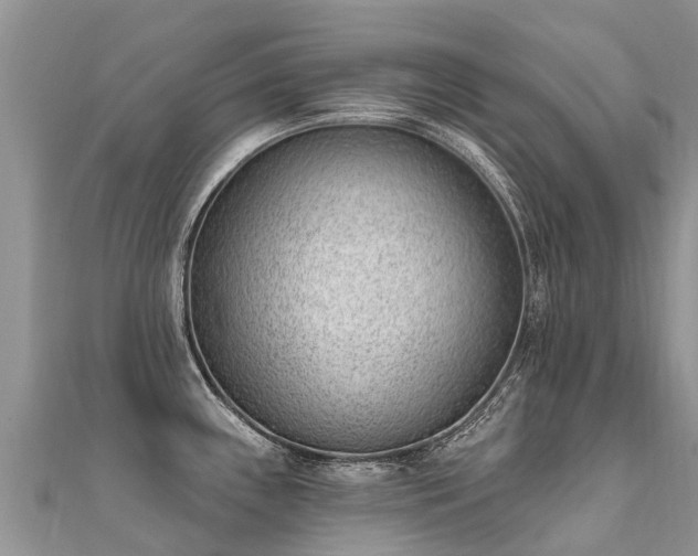 X0000112081243200908111448