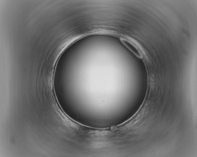 X0000112081244200908111448