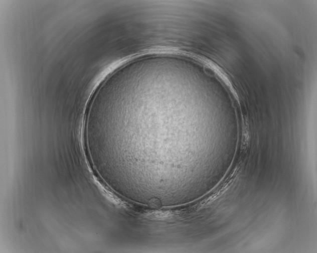 X0000112081245200908111448