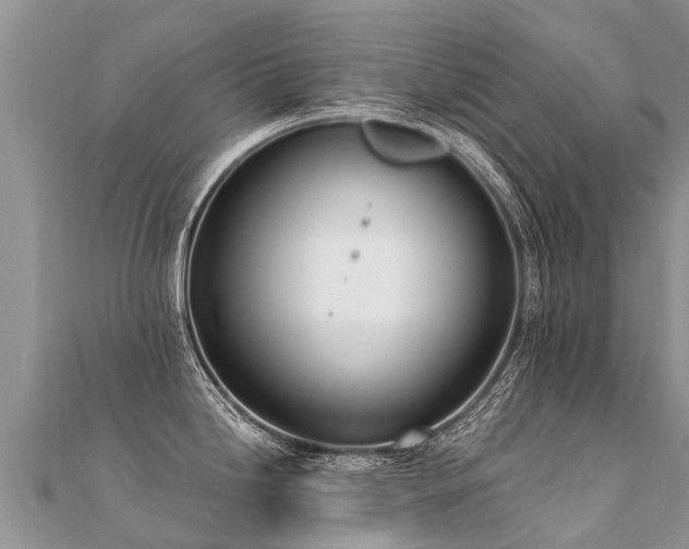 X0000112081246200908111448
