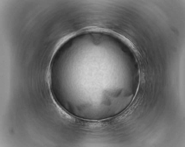 X0000112081247200908111448