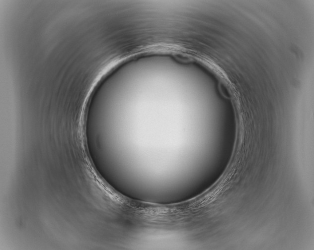 X0000112081248200908111448