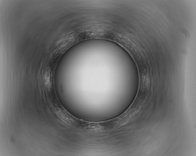 X0000112081250200908111447
