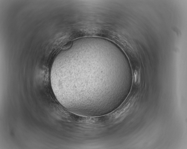 X0000112081251200908111447