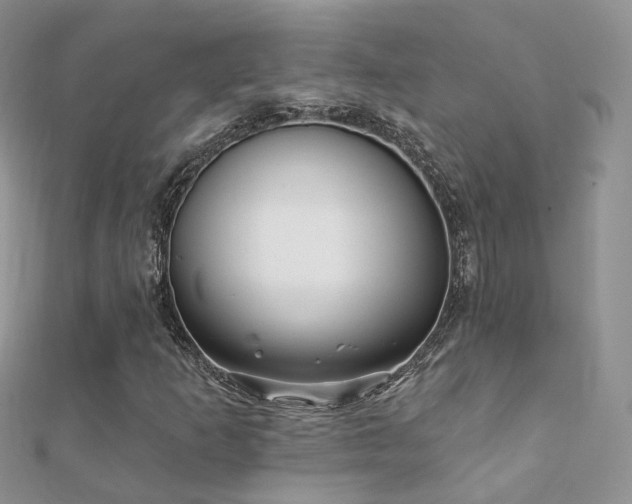 X0000112081253200908111447
