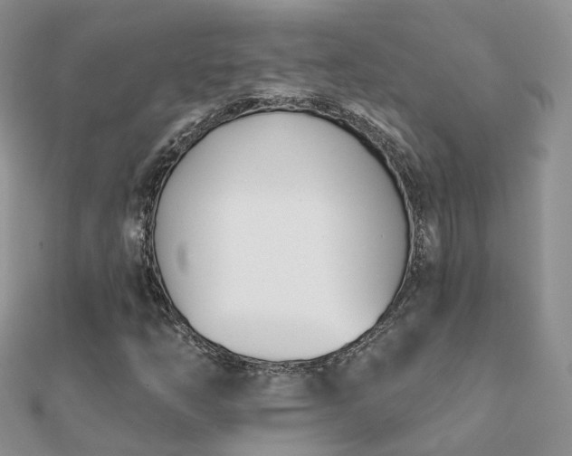 X0000112081254200908111447