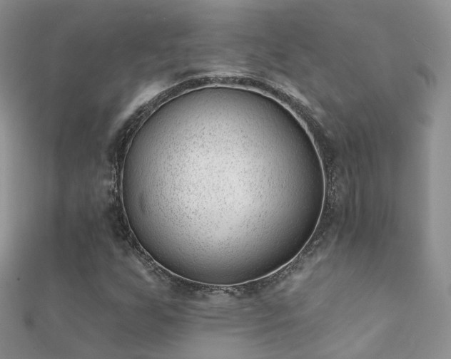 X0000112081255200908111447