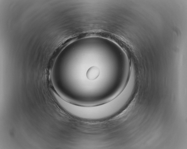 X0000112081257200908111447
