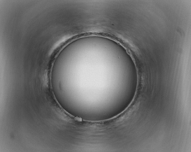 X0000112081262200908111447