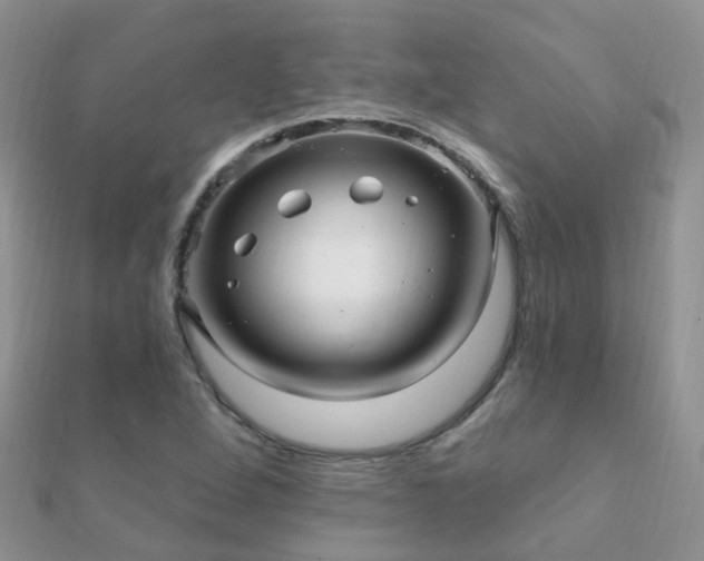 X0000112081264200908111447