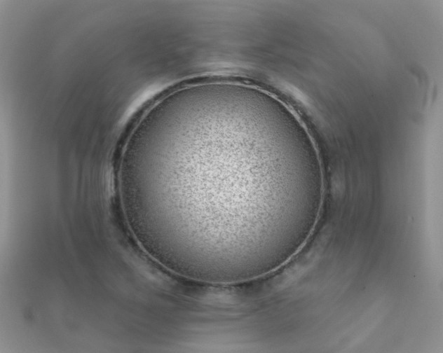 X0000112081267200908111447
