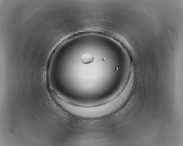 X0000112081268200908111447