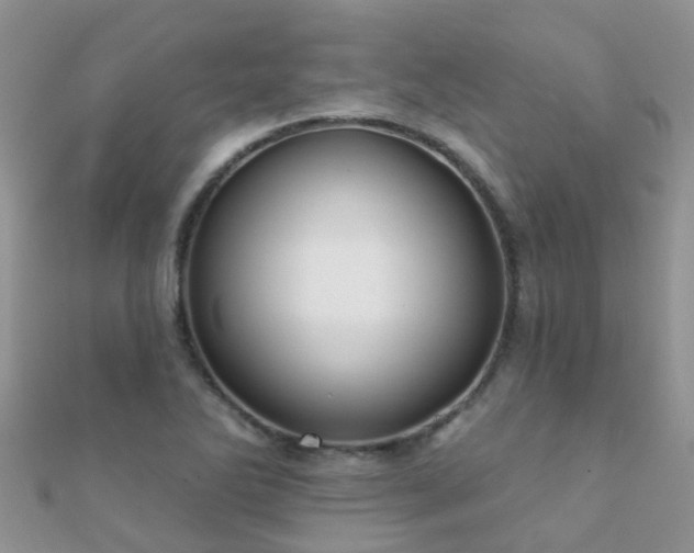 X0000112081270200908111447
